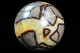 Lot: Septarian Spheres - - Pieces #78048-3